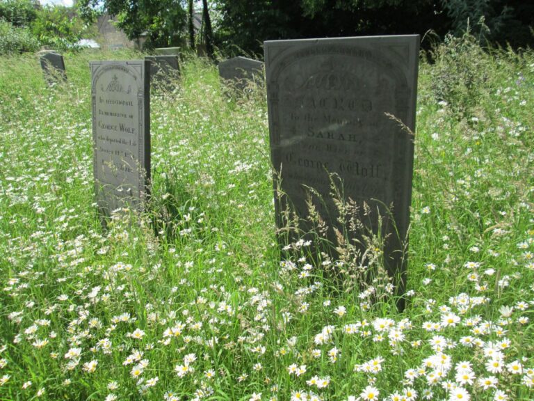 country churchyard carlton scroop